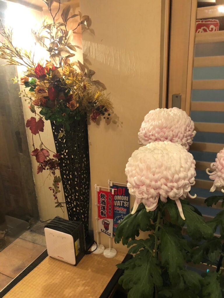 一八寿しのお花